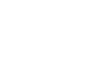 nxt_white